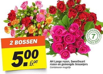 Aanbiedingen Ah lange rozen, sweetheart rozen en gemengde trosanjers - Huismerk - Albert Heijn - Geldig van 03/10/2016 tot 09/10/2016 bij Albert Heijn