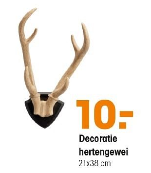 Aanbiedingen Decoratie hertengewei - Huismerk - Kwantum - Geldig van 03/10/2016 tot 16/10/2016 bij Kwantum