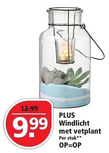 Aanbiedingen Plus windlicht met vetplant - Huismerk - Plus - Geldig van 16/10/2016 tot 22/10/2016 bij Plus