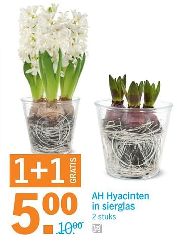 Aanbiedingen Ah hyacinten in sierglas - Huismerk - Albert Heijn - Geldig van 31/10/2016 tot 06/11/2016 bij Albert Heijn