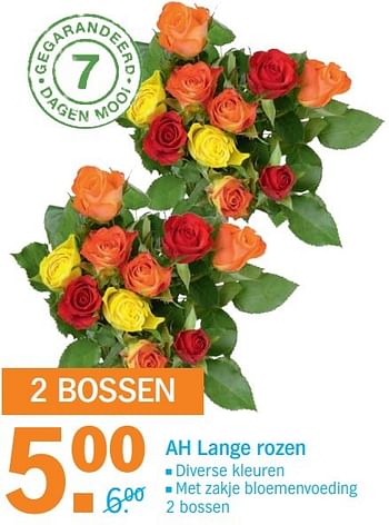 Aanbiedingen Ah lange rozen - Huismerk - Albert Heijn - Geldig van 31/10/2016 tot 06/11/2016 bij Albert Heijn