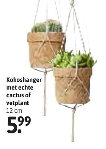 Aanbiedingen Kokoshanger met echte cactus of vetplant - Huismerk - Xenos - Geldig van 24/10/2016 tot 06/11/2016 bij Xenos