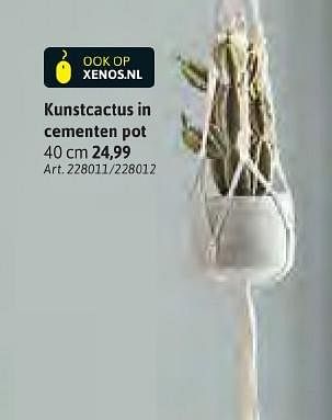Aanbiedingen Kunstcactus in cementen pot - Huismerk - Xenos - Geldig van 24/10/2016 tot 06/11/2016 bij Xenos