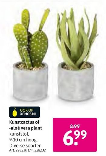 Aanbiedingen Kunstcactus of aloe vera plant - Huismerk - Xenos - Geldig van 24/10/2016 tot 06/11/2016 bij Xenos