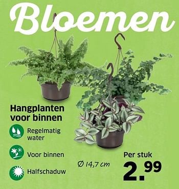 Aanbiedingen Hangplanten voor binnen - Huismerk - Lidl - Geldig van 14/11/2016 tot 20/11/2016 bij Lidl