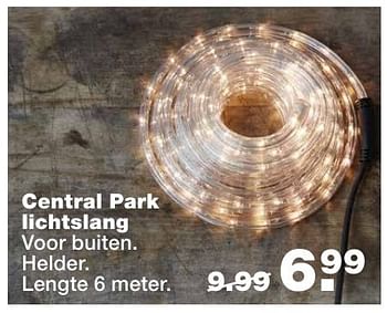 Aanbiedingen Central park lichtslang - Huismerk - Praxis - Geldig van 21/11/2016 tot 27/11/2016 bij Praxis
