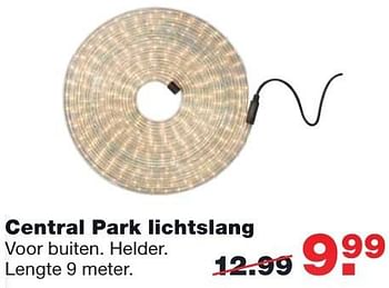 Aanbiedingen Central park lichtslang - Huismerk - Praxis - Geldig van 21/11/2016 tot 27/11/2016 bij Praxis