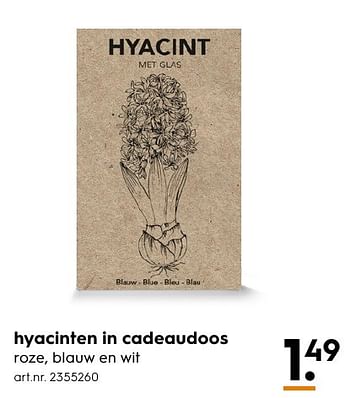 Aanbiedingen Hyacinten in cadeaudoos - Huismerk - Blokker - Geldig van 13/11/2016 tot 05/12/2016 bij Blokker