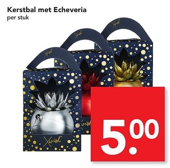 Aanbiedingen Kerstbal met echeveria - Huismerk deen supermarkt - Geldig van 04/12/2016 tot 10/12/2016 bij Deen Supermarkten