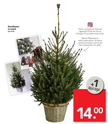 Aanbiedingen Kerstboom in mand - Huismerk deen supermarkt - Geldig van 04/12/2016 tot 10/12/2016 bij Deen Supermarkten