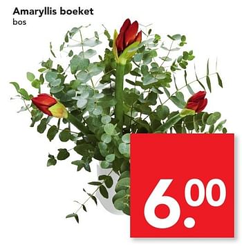 Aanbiedingen Amaryllis boeket - Huismerk deen supermarkt - Geldig van 04/12/2016 tot 10/12/2016 bij Deen Supermarkten