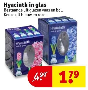 Aanbiedingen Hyacinth in glas - Huismerk - Kruidvat - Geldig van 06/12/2016 tot 11/12/2016 bij Kruidvat
