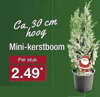 Aanbiedingen Mini-kerstboom - Huismerk - Aldi - Geldig van 04/12/2016 tot 11/12/2016 bij Aldi