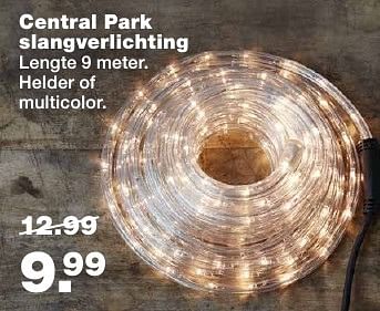 Aanbiedingen Central park slangverlichting - Central Park - Geldig van 05/12/2016 tot 11/12/2016 bij Praxis