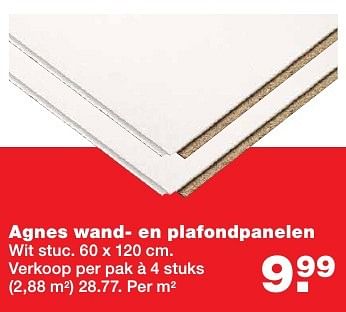 Aanbiedingen Agnes wand- en plafondpanelen - Agnes - Geldig van 05/12/2016 tot 11/12/2016 bij Praxis