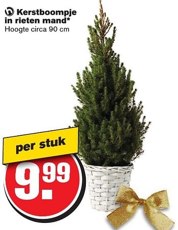 Aanbiedingen Kerstboompje in rieten mand - Huismerk - Hoogvliet - Geldig van 07/12/2016 tot 13/12/2016 bij Hoogvliet