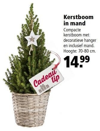 Aanbiedingen Kerstboom in mand - Huismerk - Welkoop - Geldig van 05/12/2016 tot 18/12/2016 bij Welkoop