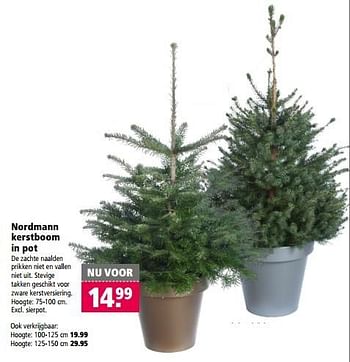 Aanbiedingen Nordmann kerstboom in pot - Huismerk - Welkoop - Geldig van 05/12/2016 tot 18/12/2016 bij Welkoop