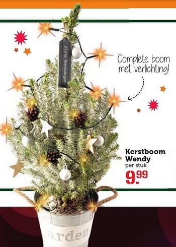 Aanbiedingen Kerstboom wendy - Huismerk - Coop - Geldig van 12/12/2016 tot 18/12/2016 bij Coop