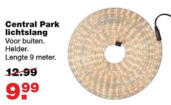 Aanbiedingen Central park lichtslang - Huismerk - Praxis - Geldig van 12/12/2016 tot 18/12/2016 bij Praxis