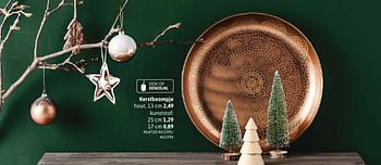 Aanbiedingen Kerstboompje - Huismerk - Xenos - Geldig van 05/12/2016 tot 18/12/2016 bij Xenos