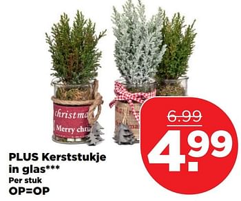 Aanbiedingen Plus kerststukje in glas - Huismerk - Plus - Geldig van 18/12/2016 tot 24/12/2016 bij Plus