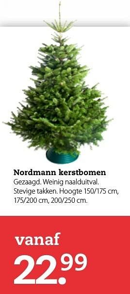 Aanbiedingen Nordmann kerstbomen - Huismerk- Boerenbond - Geldig van 11/12/2016 tot 25/12/2016 bij Boerenbond