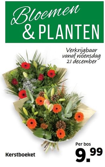 Aanbiedingen Kerstboeket - Huismerk - Lidl - Geldig van 19/12/2016 tot 25/12/2016 bij Lidl