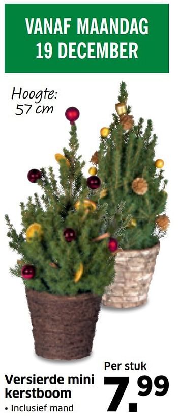 Aanbiedingen Versierde mini kerstboom - Huismerk - Lidl - Geldig van 19/12/2016 tot 25/12/2016 bij Lidl