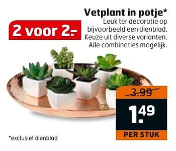 Aanbiedingen Vetplant in potje - Huismerk - Trekpleister - Geldig van 20/12/2016 tot 25/12/2016 bij Trekpleister