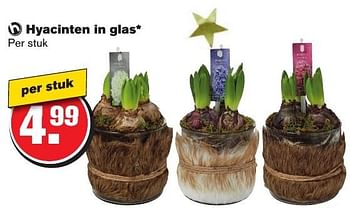 Aanbiedingen Hyacinten in glas - Huismerk - Hoogvliet - Geldig van 21/12/2016 tot 26/12/2016 bij Hoogvliet