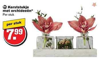 Aanbiedingen Kerststukje met orchideeën - Huismerk - Hoogvliet - Geldig van 21/12/2016 tot 26/12/2016 bij Hoogvliet