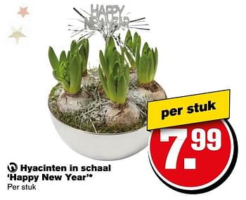 Aanbiedingen Hyacinten in schaal `happy new year - Huismerk - Hoogvliet - Geldig van 27/12/2016 tot 03/01/2017 bij Hoogvliet