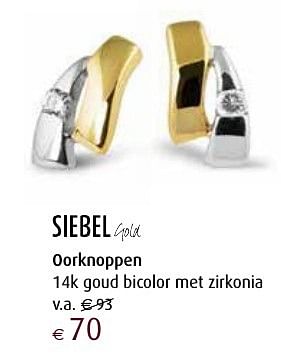 Aanbiedingen Oorknoppen 14k goud bicolor met zirkonia - Huismerk - Siebel Juweliers - Geldig van 12/12/2016 tot 05/01/2017 bij Siebel Juweliers