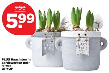 Aanbiedingen Plus hyacinten in aardewerken pot - Huismerk - Plus - Geldig van 01/01/2017 tot 07/01/2017 bij Plus