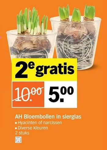 Aanbiedingen Ah bloembollen in sierglas - Huismerk - Albert Heijn - Geldig van 02/01/2017 tot 08/01/2017 bij Albert Heijn
