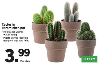 Aanbiedingen Cactus in keramieken pot - Huismerk - Lidl - Geldig van 09/01/2017 tot 15/01/2017 bij Lidl