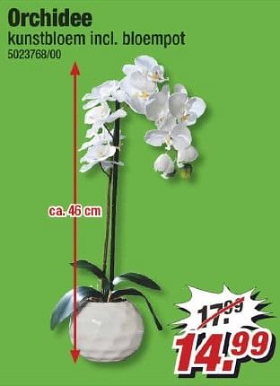 Aanbiedingen Orchidee - Huismerk - Poco - Geldig van 09/01/2017 tot 15/01/2017 bij Poco