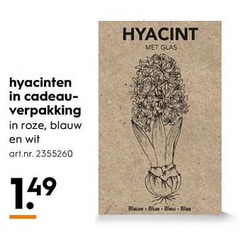 Aanbiedingen Hyacinten in cadeauverpakking - Huismerk - Blokker - Geldig van 07/01/2017 tot 18/01/2017 bij Blokker