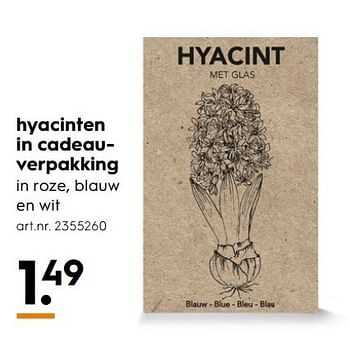 Aanbiedingen Hyacinten in cadeauverpakking - Huismerk - Blokker - Geldig van 15/01/2017 tot 21/01/2017 bij Blokker