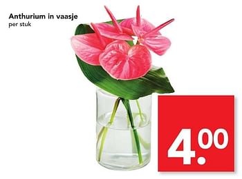 Aanbiedingen Anthurium in vaasje - Huismerk deen supermarkt - Geldig van 15/01/2017 tot 21/01/2017 bij Deen Supermarkten