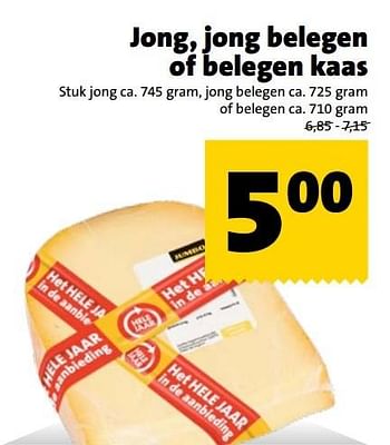 Aanbiedingen Jong, jong belegen of belegen kaas - Huismerk - Jumbo Supermarkten - Geldig van 01/01/2017 tot 31/01/2017 bij Jumbo Supermarkten