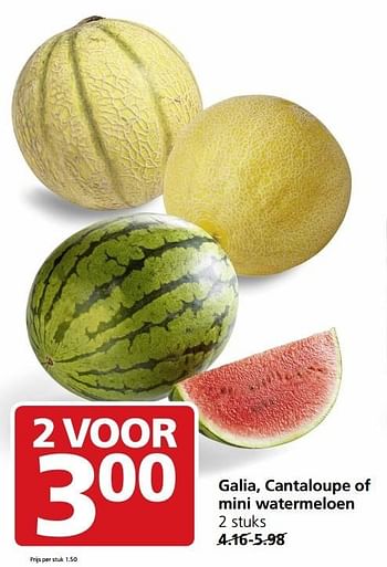 Aanbiedingen Galia, cantaloupe of mini watermeloen - Huismerk - Jan Linders - Geldig van 16/01/2017 tot 22/01/2017 bij Jan Linders