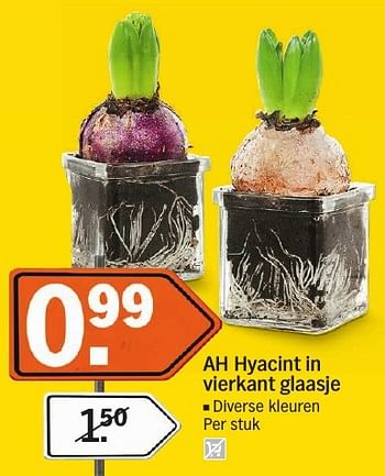 Aanbiedingen Ah hyacint in vierkant glaasje - Huismerk - Albert Heijn - Geldig van 16/01/2017 tot 22/01/2017 bij Albert Heijn