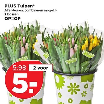 Aanbiedingen Plus tulpen - Huismerk - Plus - Geldig van 22/01/2017 tot 28/01/2017 bij Plus