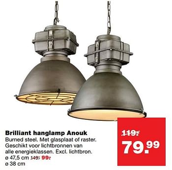 Aanbiedingen Brilliant hanglamp anouk - Brilliant - Geldig van 23/01/2017 tot 29/01/2017 bij Praxis