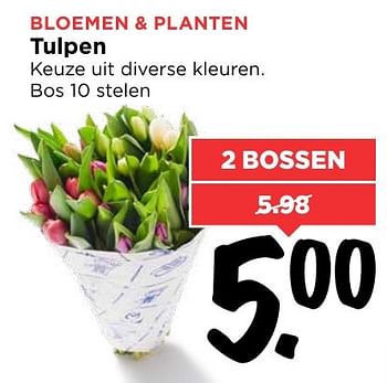 Aanbiedingen Tulpen - Huismerk Vomar - Geldig van 05/02/2017 tot 11/02/2017 bij Vomar