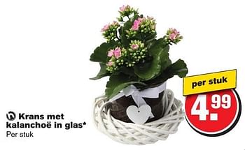 Aanbiedingen Krans met kalanchoë in glas - Huismerk - Hoogvliet - Geldig van 08/02/2017 tot 14/02/2017 bij Hoogvliet