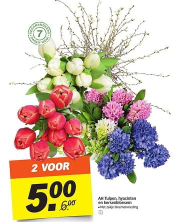 Aanbiedingen Ah tulpen, hyacinten en kersenbloesem - Huismerk - Albert Heijn - Geldig van 05/02/2017 tot 12/02/2017 bij Albert Heijn