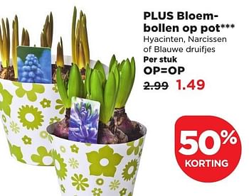 Aanbiedingen Plus bloembollen op pot - Huismerk - Plus - Geldig van 11/02/2017 tot 18/02/2017 bij Plus